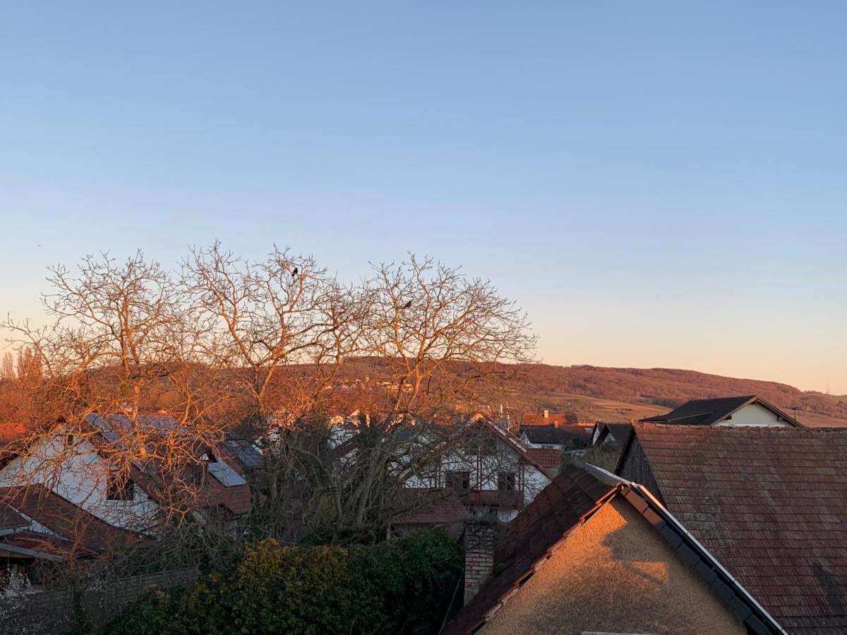 Ferienwohnung Baselblick, Eimeldingen מראה חיצוני תמונה